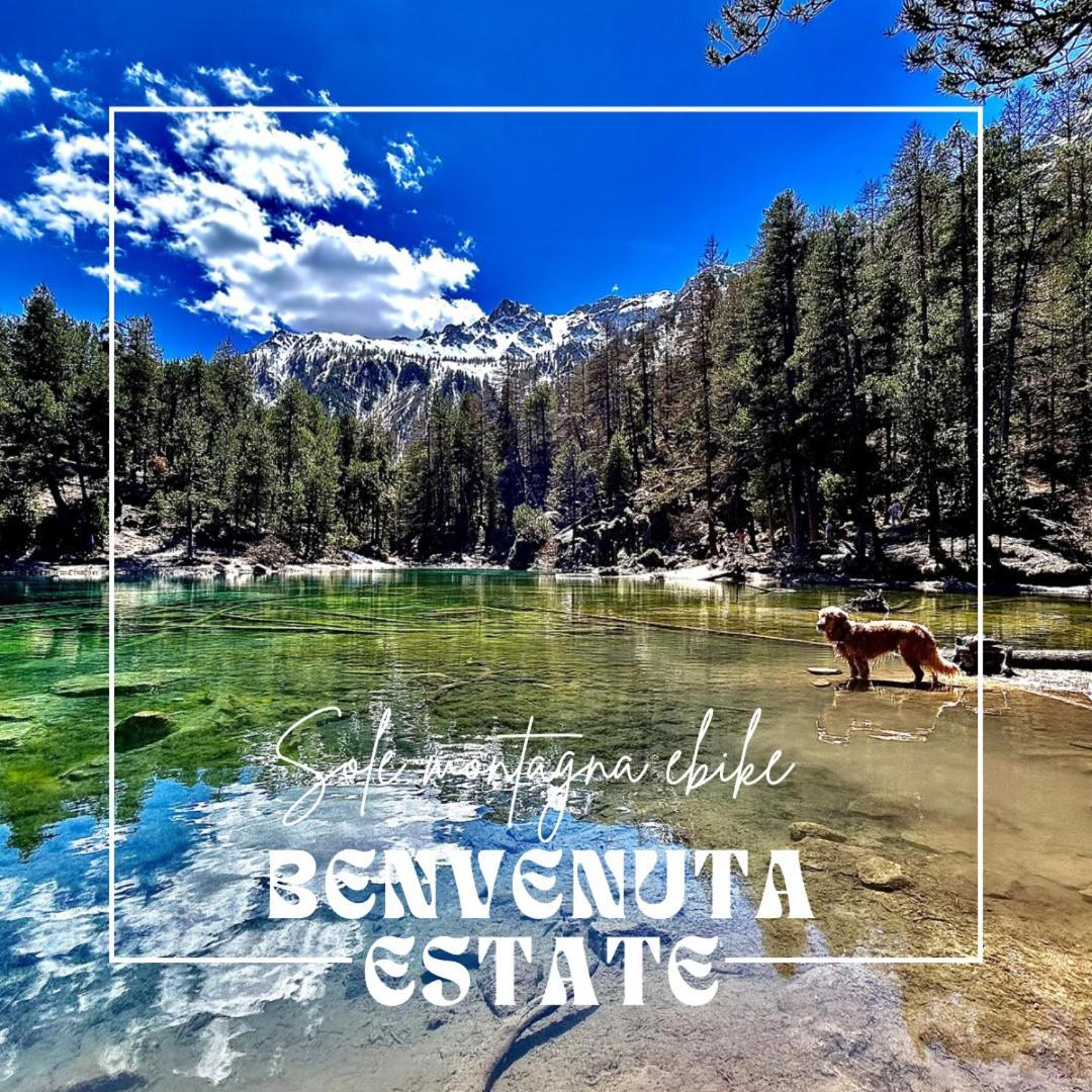 Hotel La Nigritella Bardonecchia Εξωτερικό φωτογραφία