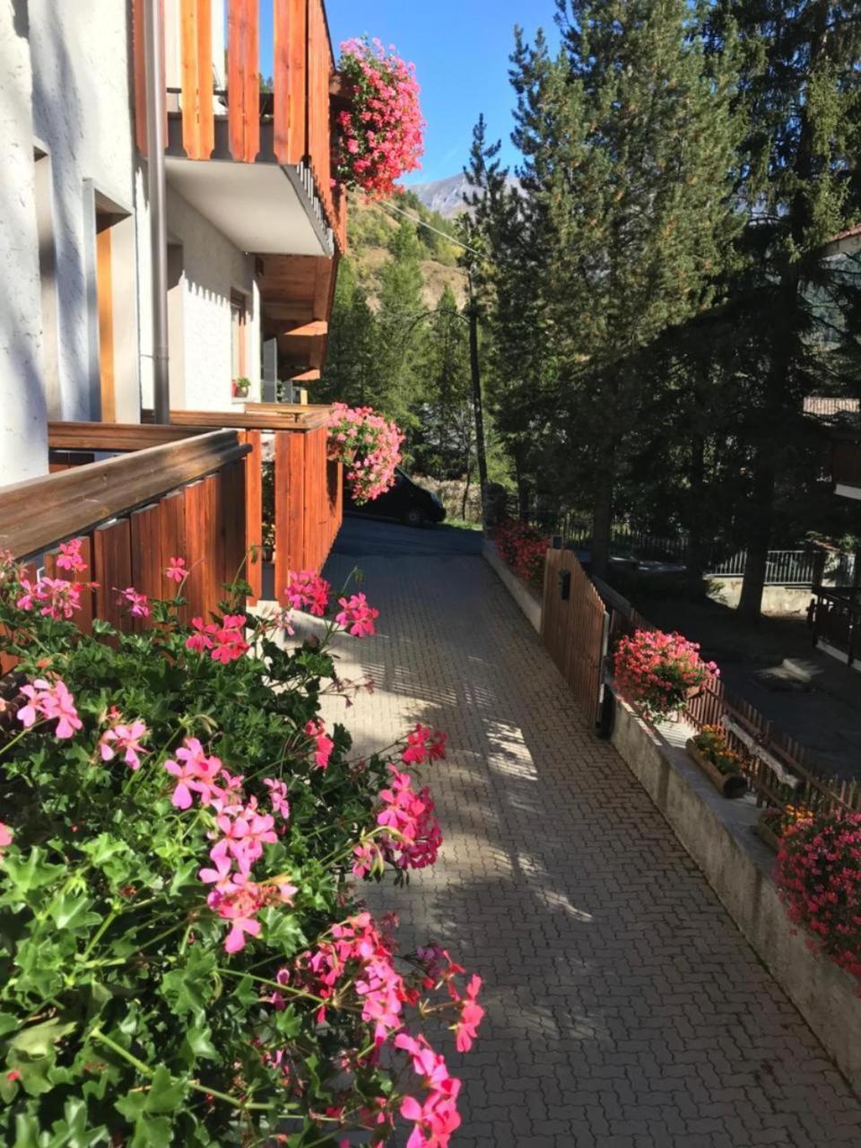 Hotel La Nigritella Bardonecchia Εξωτερικό φωτογραφία